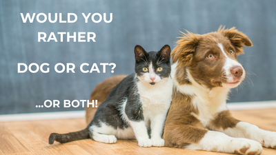 Would You Rather: Dog or Cat?