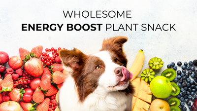 Wholesome Energy Boost Plant Snack