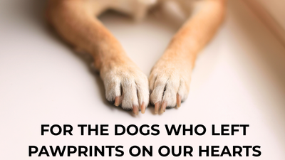 For the Dogs Who Left Pawprints on Our Hearts