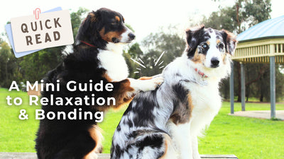 A Mini Guide to Relaxation and Bonding