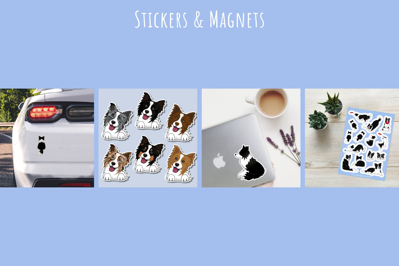 border collie stickers and magnets