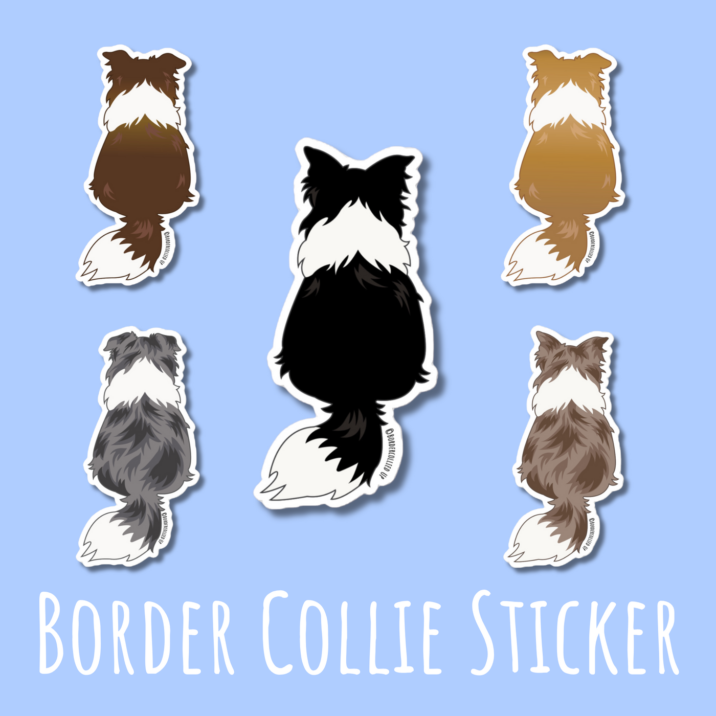 Border Collie Back Sticker
