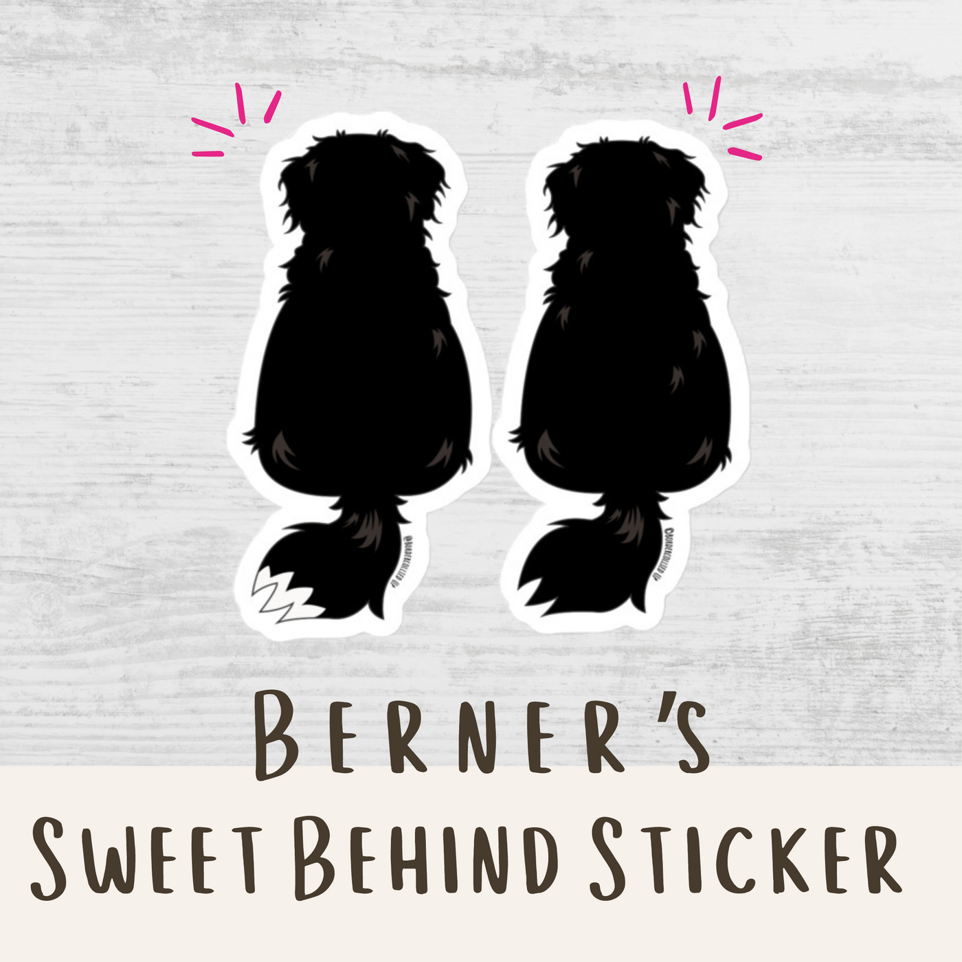 Bernese Mountain Dog Sticker