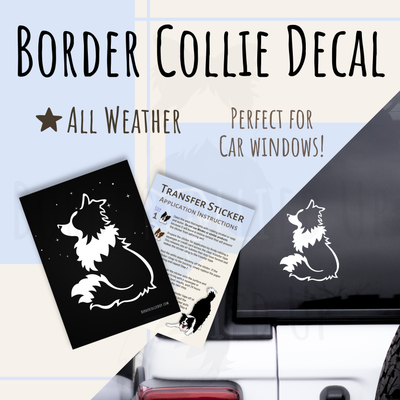 Sweet Border Collie Decal