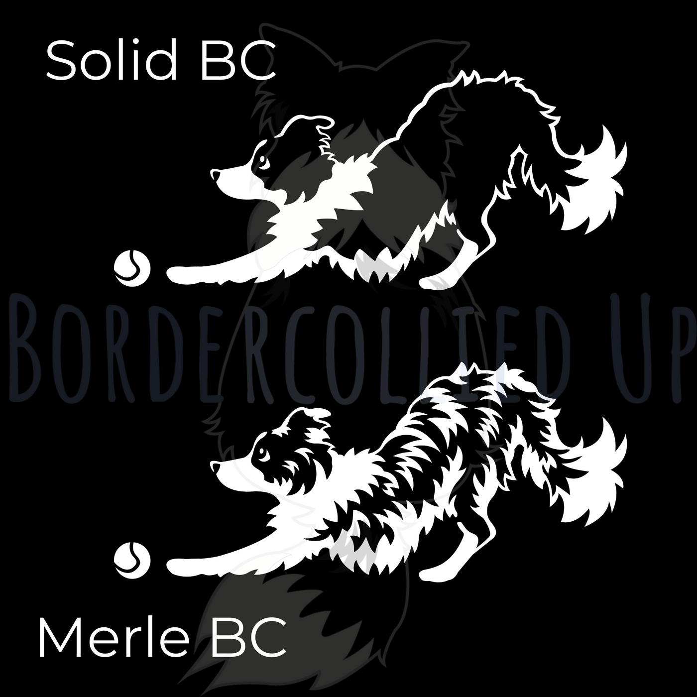 Just Throw It Border Collie Decal