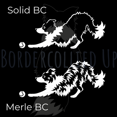 Just Throw It Border Collie Decal