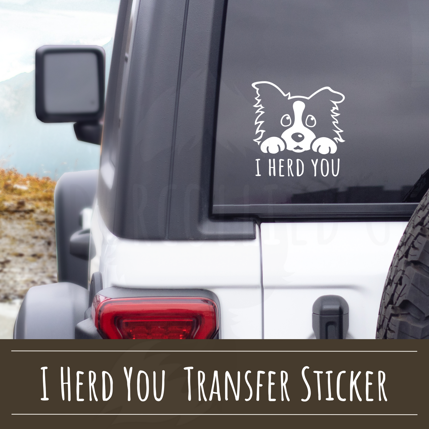 I Herd You Border Collie Decal