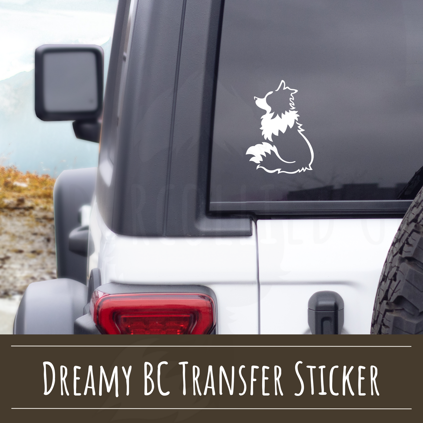 Sweet Border Collie Decal