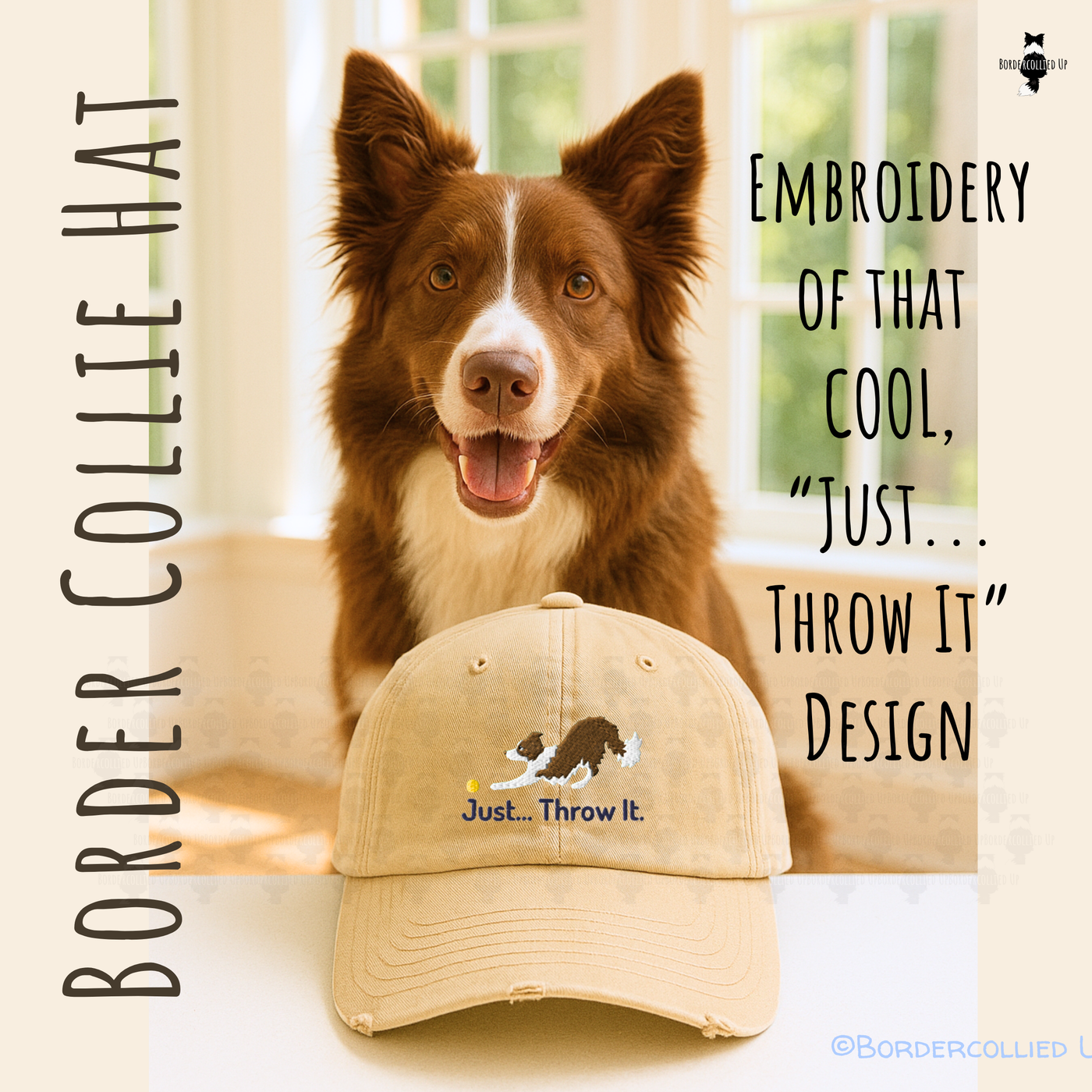 Just Throw It Border Collie Hat