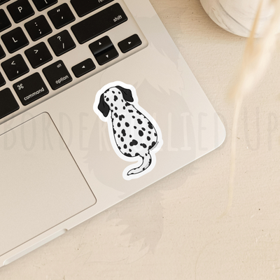 Dalmatian Behind Sticker