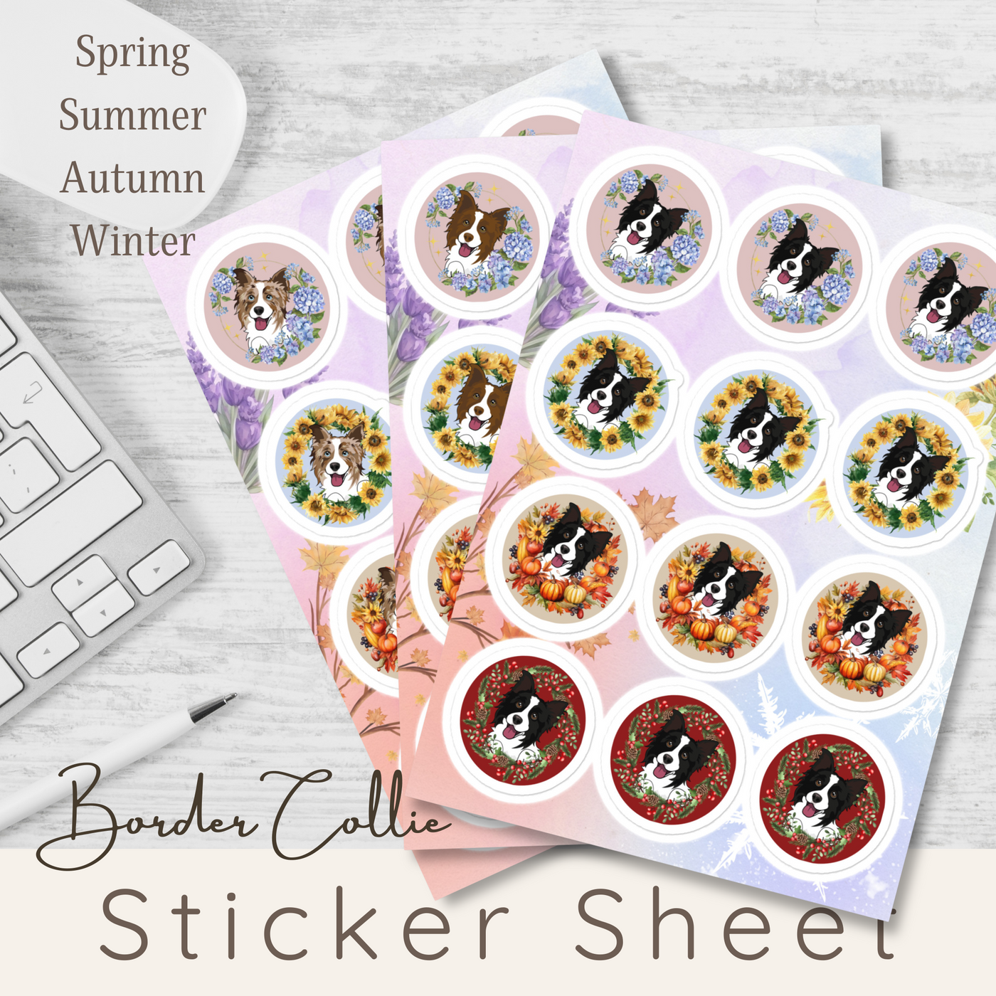 Border Collie Sticker Sheet