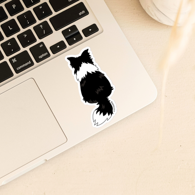 Border Collie Behind Sticker