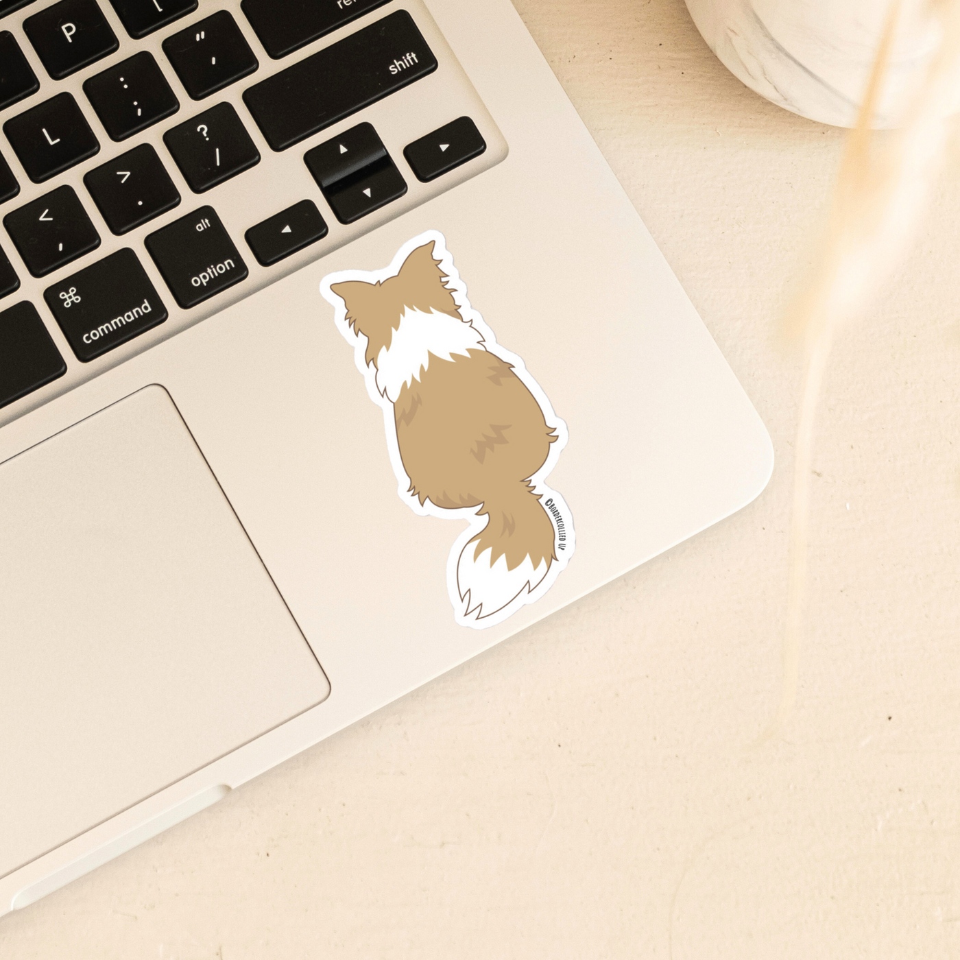 Border Collie Behind Sticker