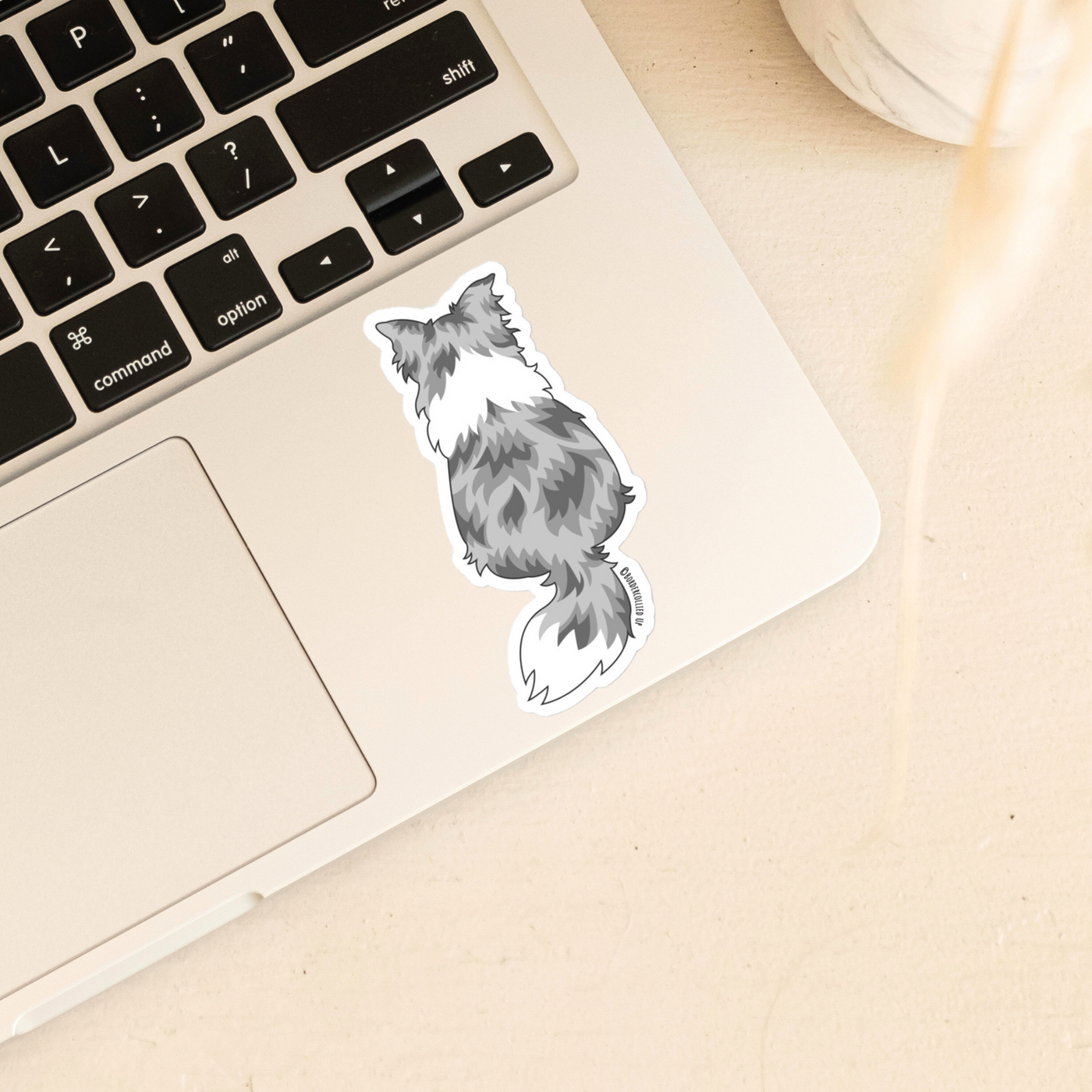 Border Collie Behind Sticker