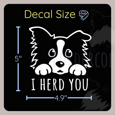 Border Collie Sticker | Border Collie Car Sticker for Border Collie Lover | Border Collie Gift