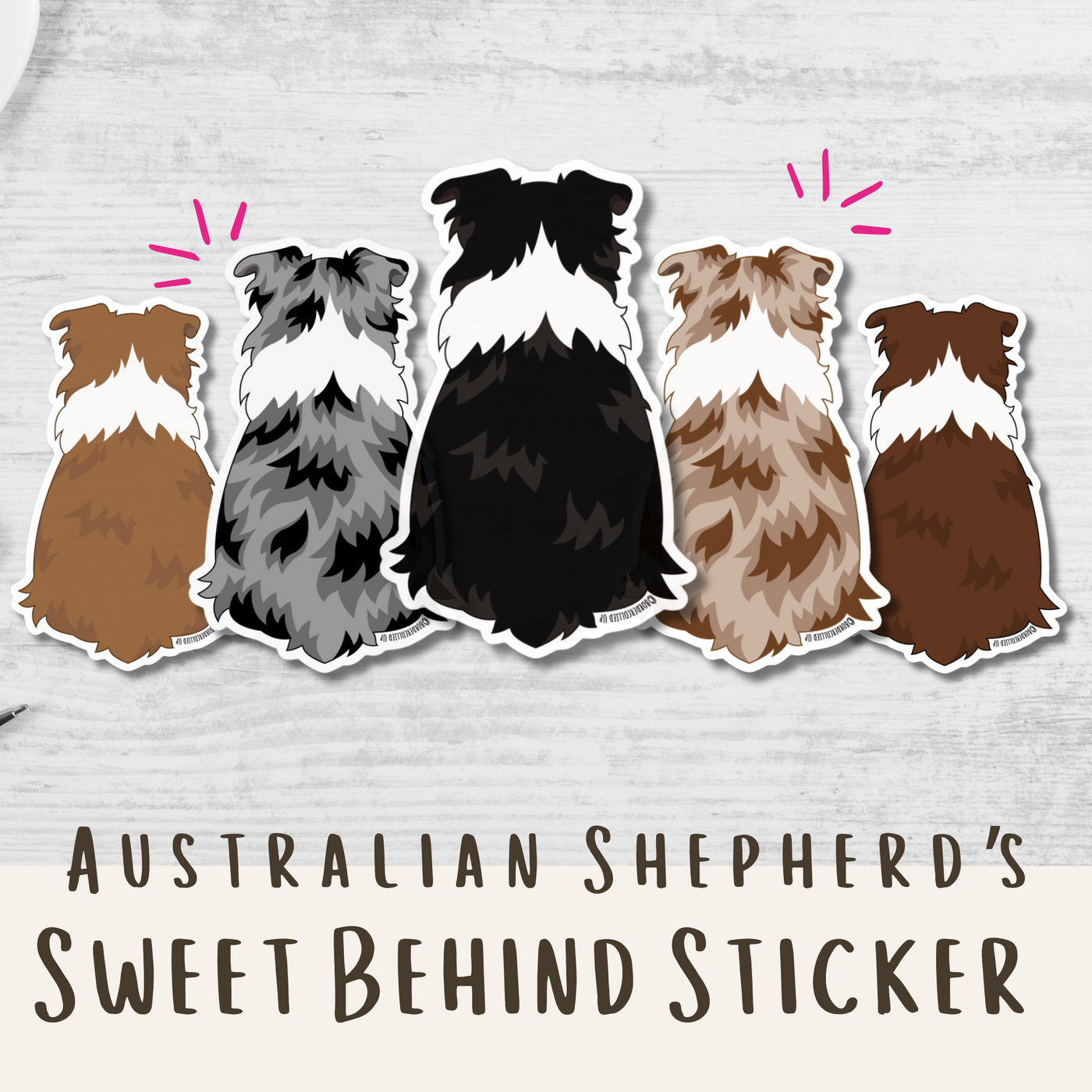 Australian Shepherd Sticker