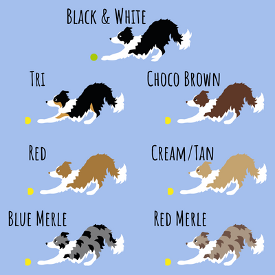 border collie embroidery option