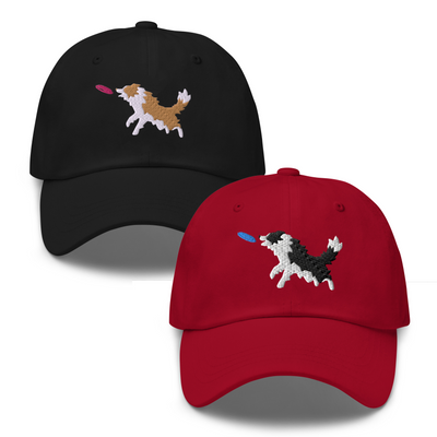Disc Dog Border Collie Hat | Frisbee Catching Border Collie | Dog Sports