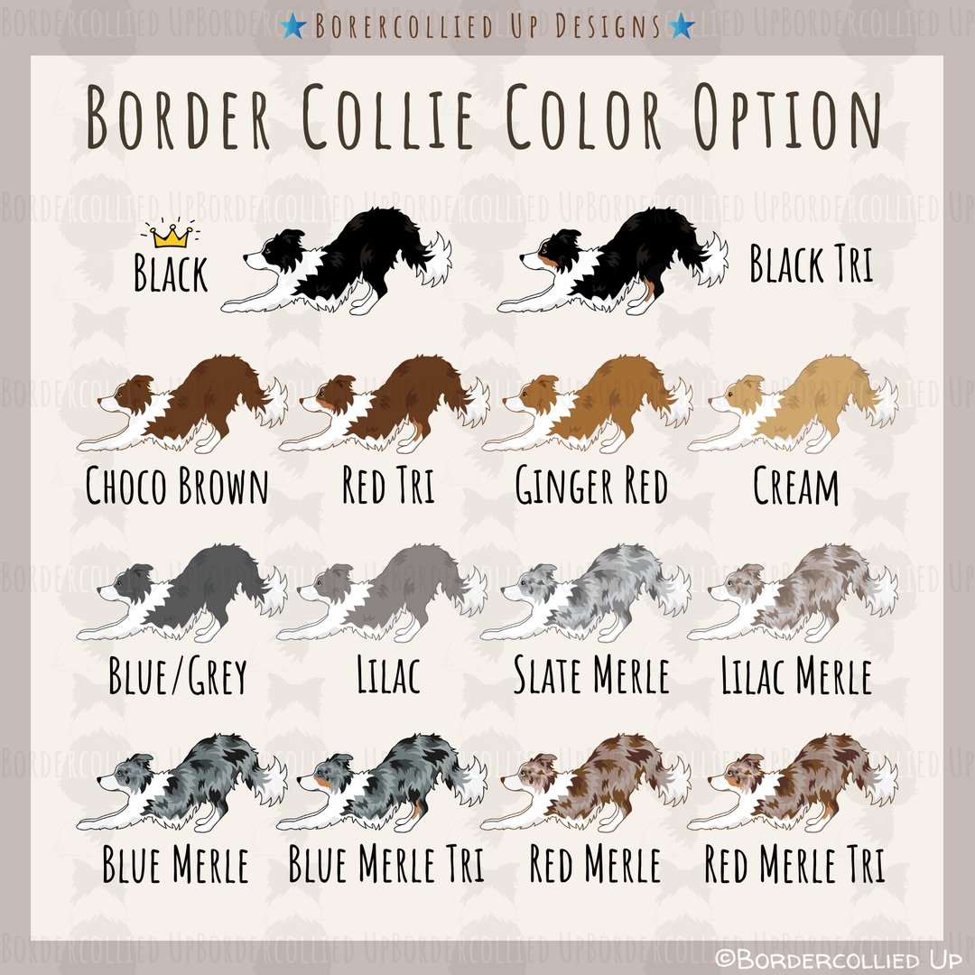 Just Throw It Border Collie Hoodie – Bordercollied Up