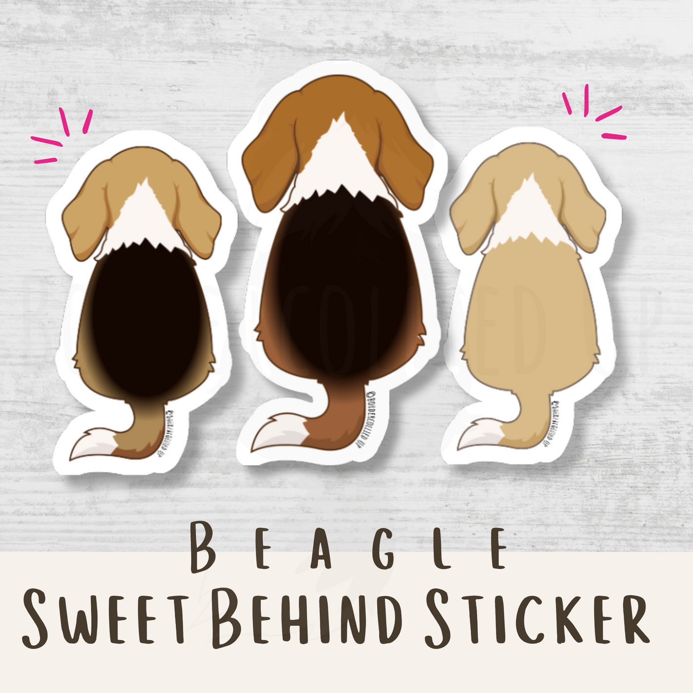 Beagle Behind Sticker