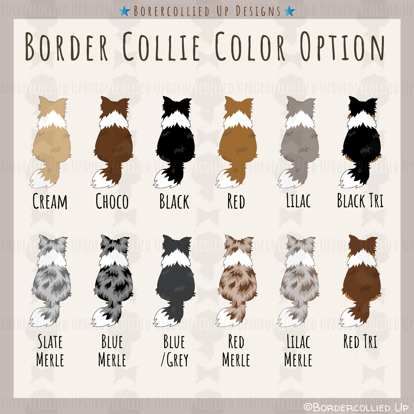 Border Collie Behind Sticker