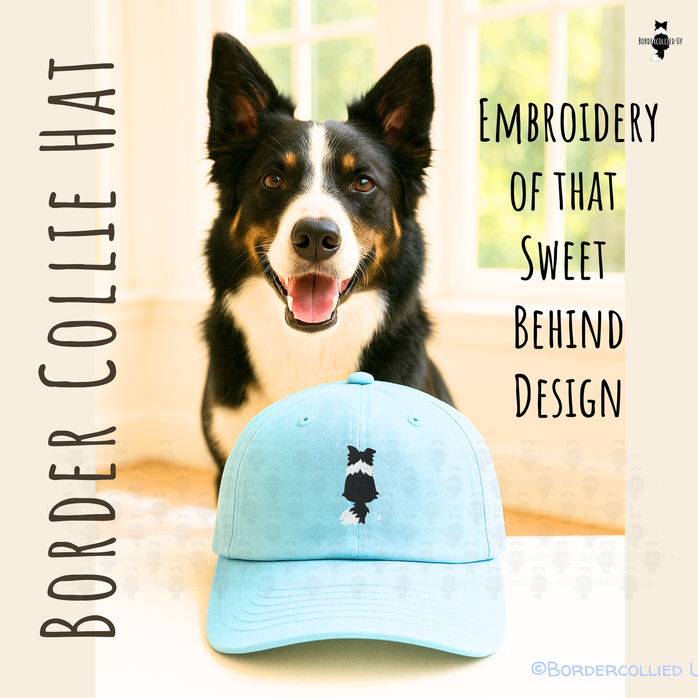 Sweet Border Collie Back Hat