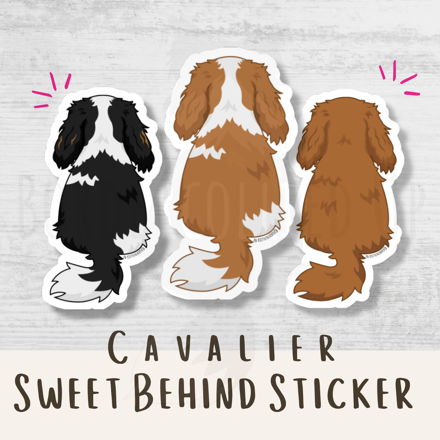 Cavalier Spaniel Behind Sticker