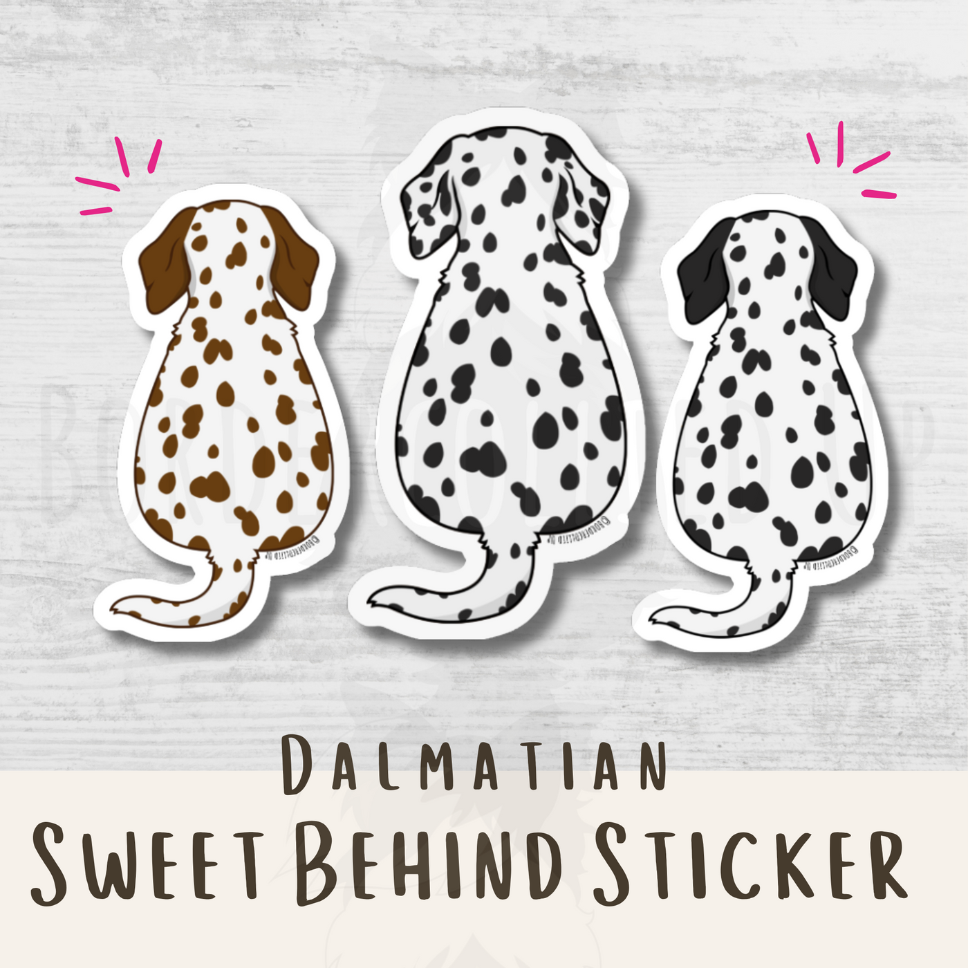 Dalmatian Behind Sticker