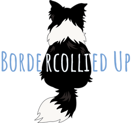Bordercollied Up Logo | Bordercollie gift shop for border collie lovers