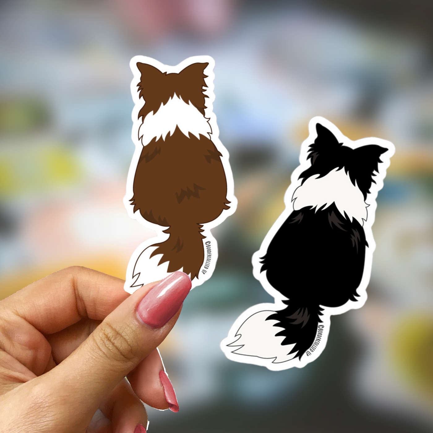 Border Collie Behind Sticker