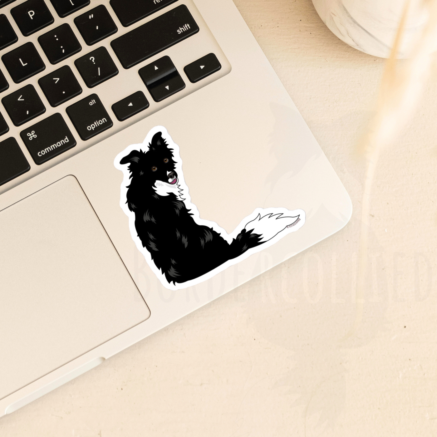 Sitting Border Collie Sticker