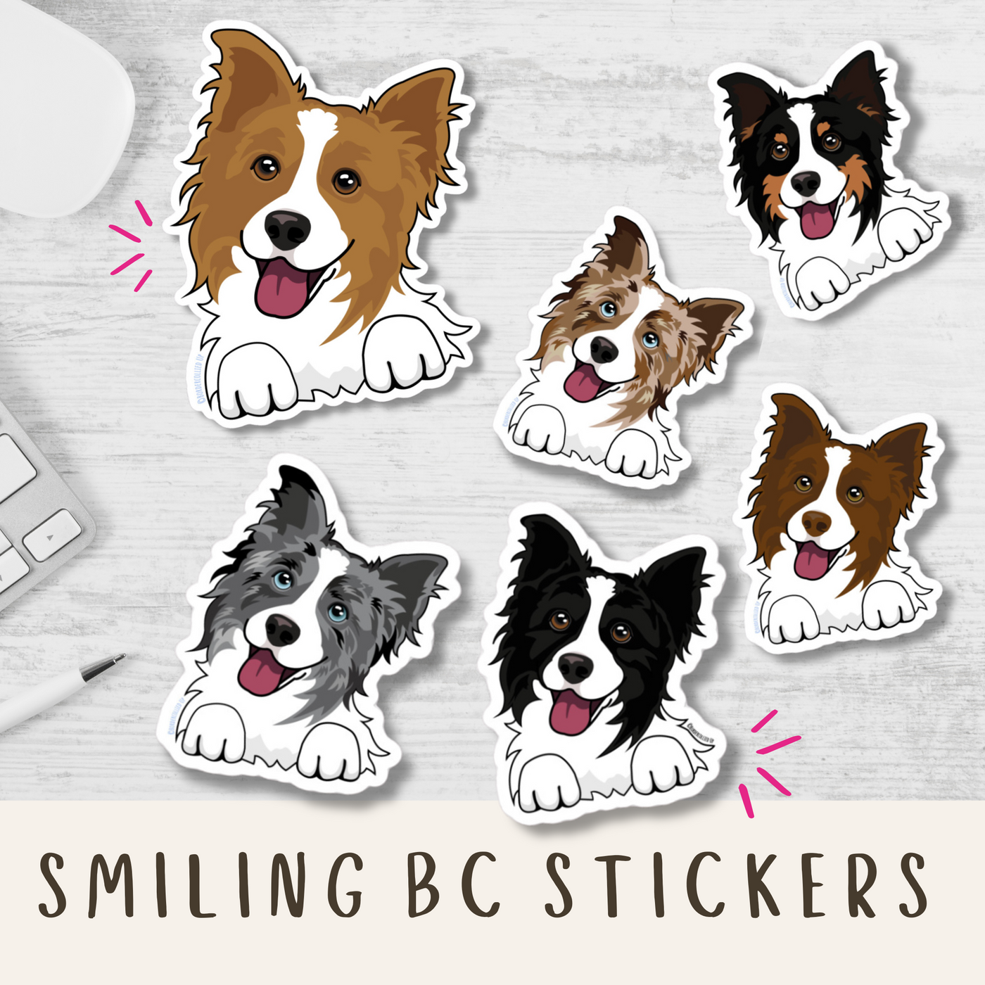 Border Collie Sticker