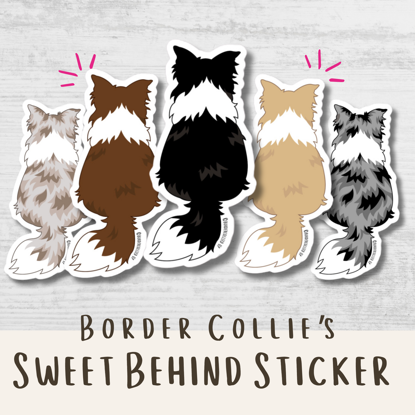 Border Collie Sticker