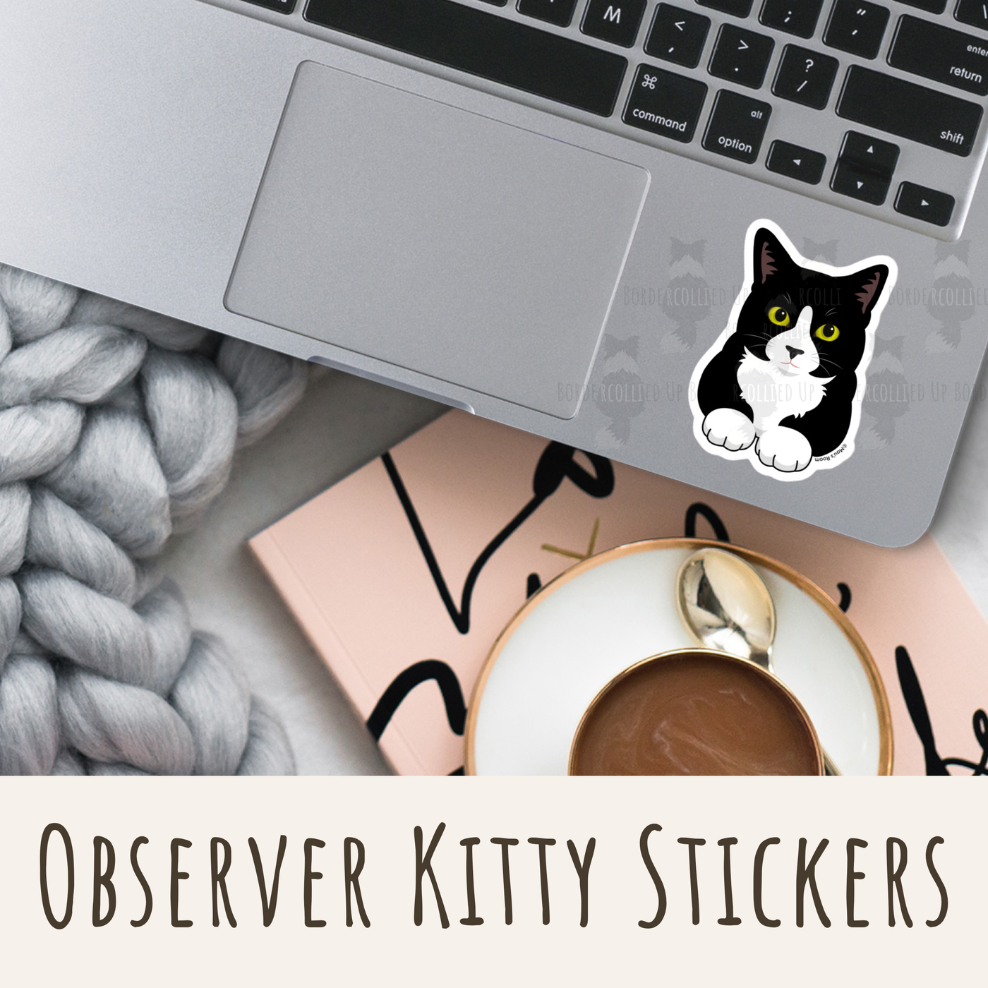 Observer Kitty Sticker – Bordercollied Up