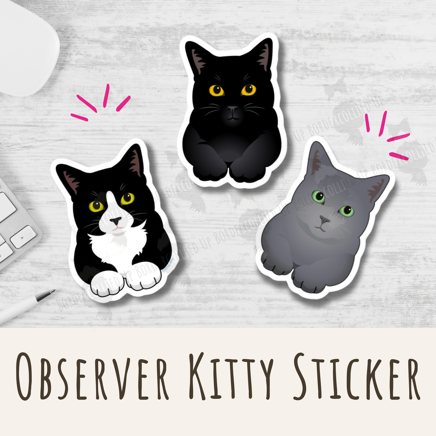Observer Kitty Sticker – Bordercollied Up