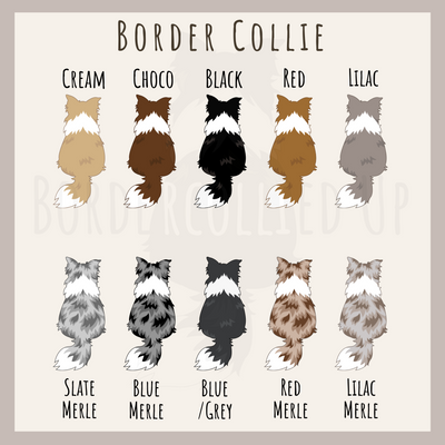 Personalized Border Collie Mug