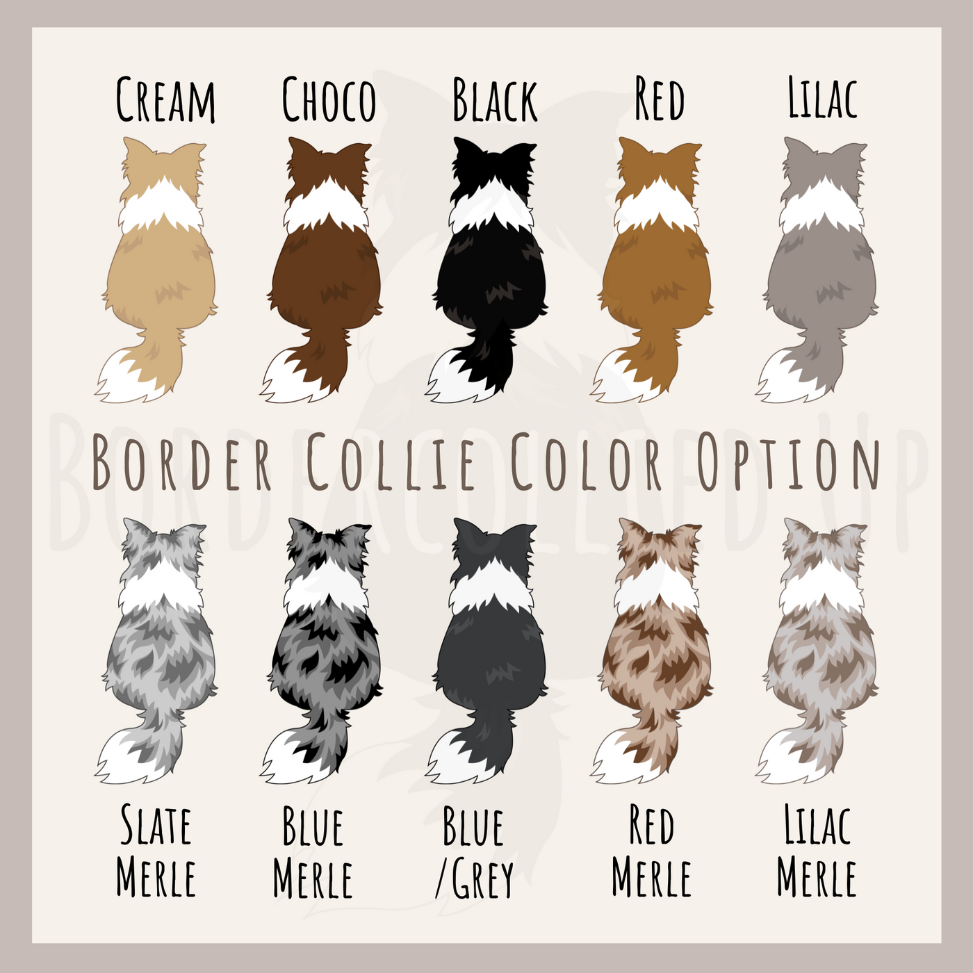 border collie sticker color option