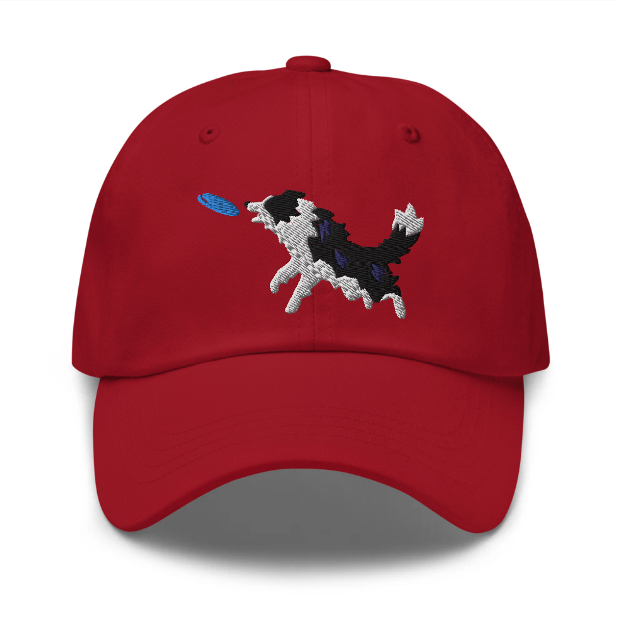 frisbee border collie hat