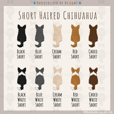 Chihuahua Behind Sticker