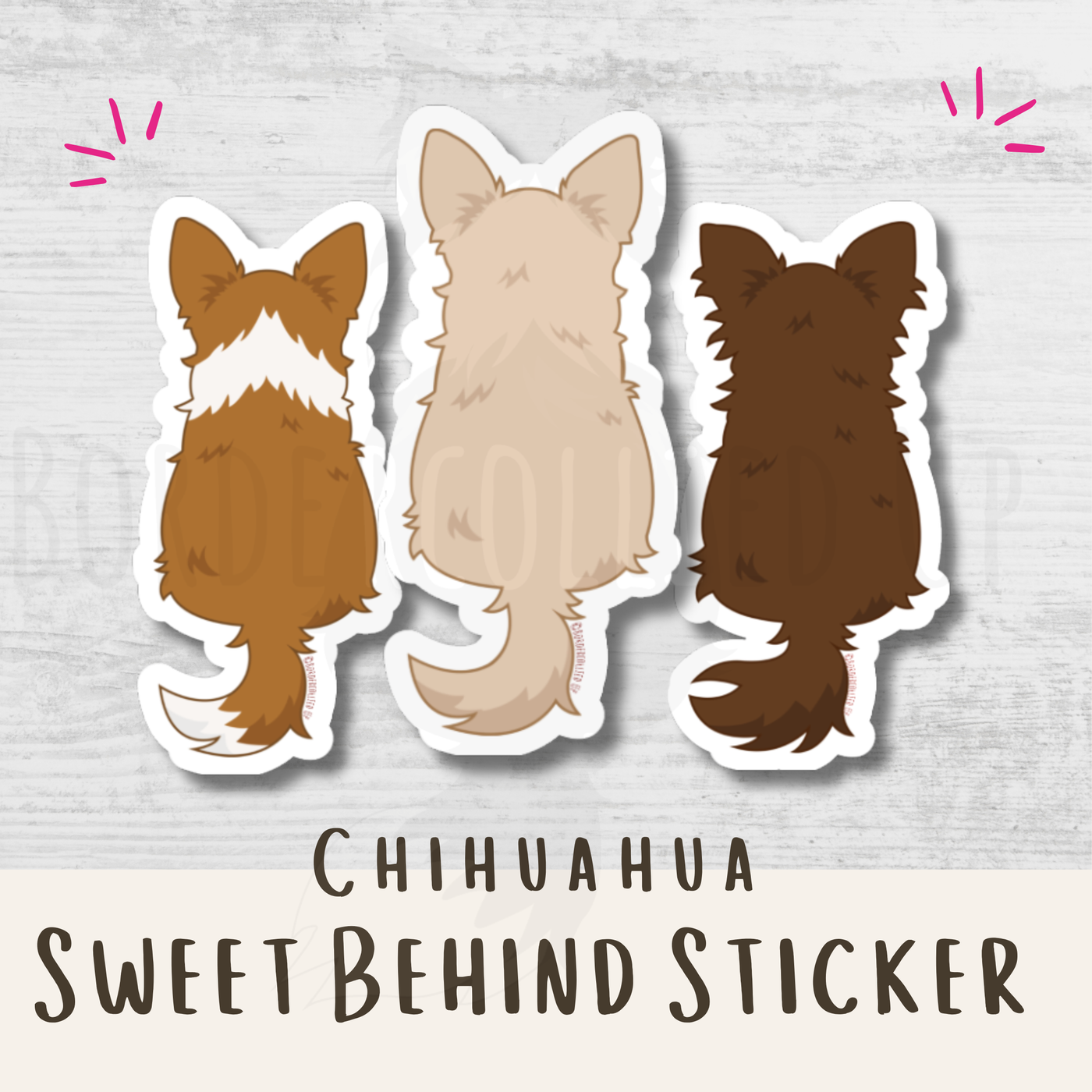 Chihuahua Behind Sticker