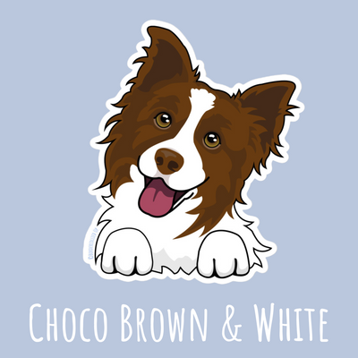 chocolate brown border collie sticker | red border collie sticker