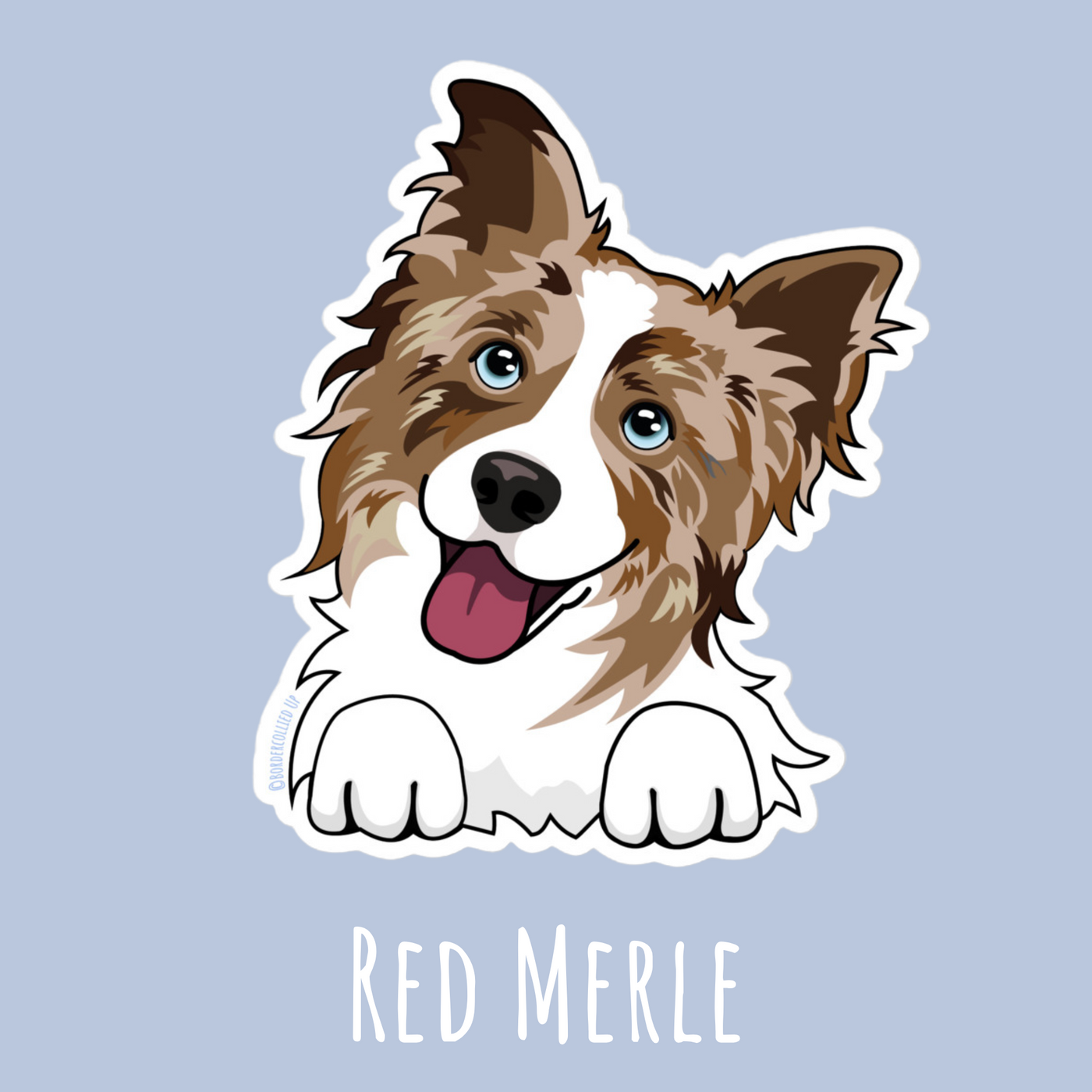 red merle border collie sticker