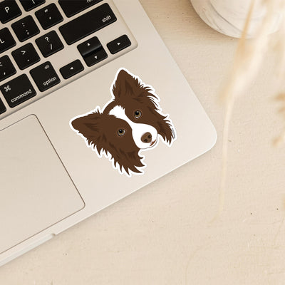 chocolate brown border collie sticker