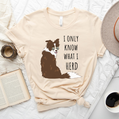 chocolate brown border collie shirt | red border collie shirt | border collie gift | border collie mug