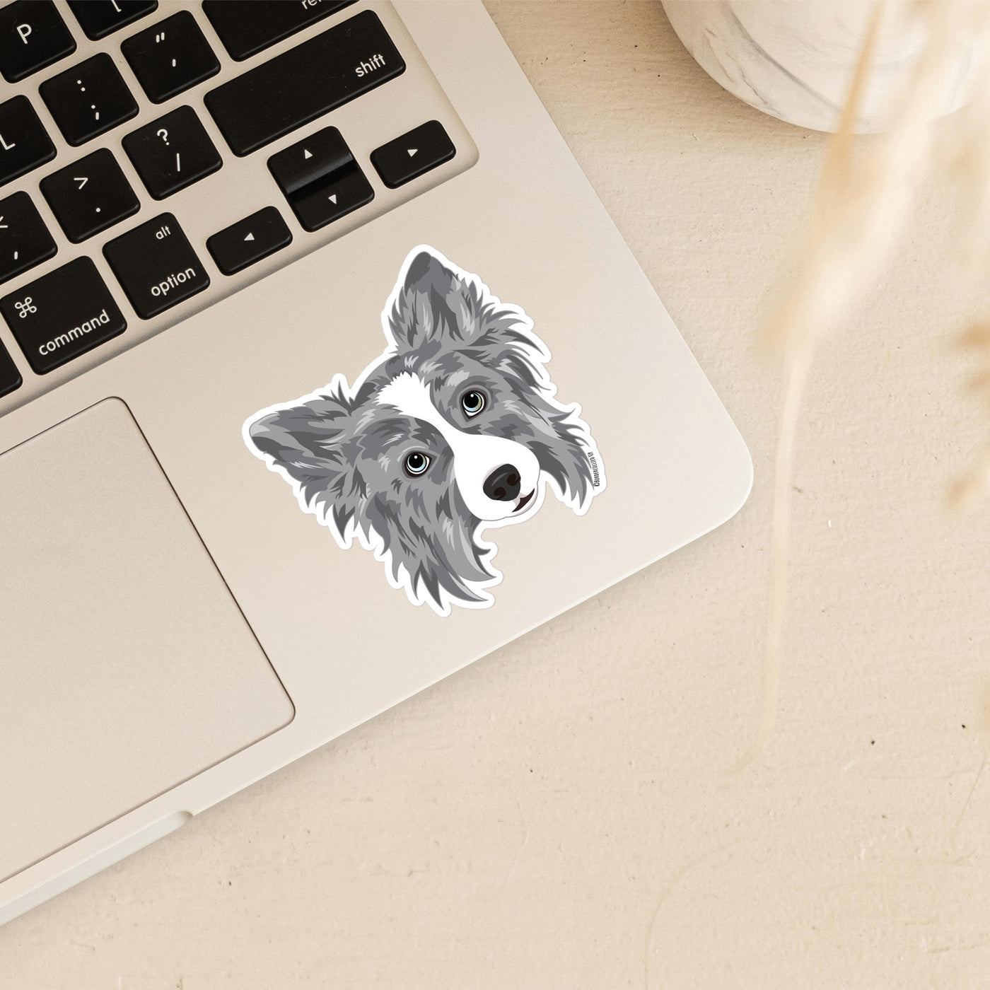 blue merle border collie sticker