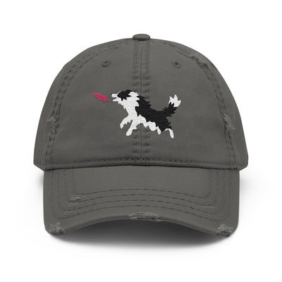 Disc Dog Border Collie Embroidered Hat
