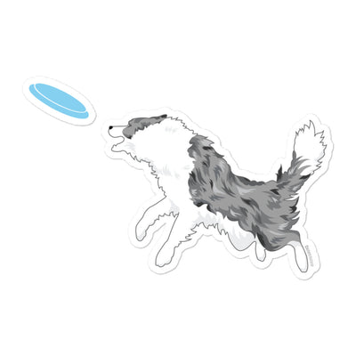 Disc Dog Blue Merle Border Collie Sticker