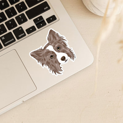 red merle border collie sticker