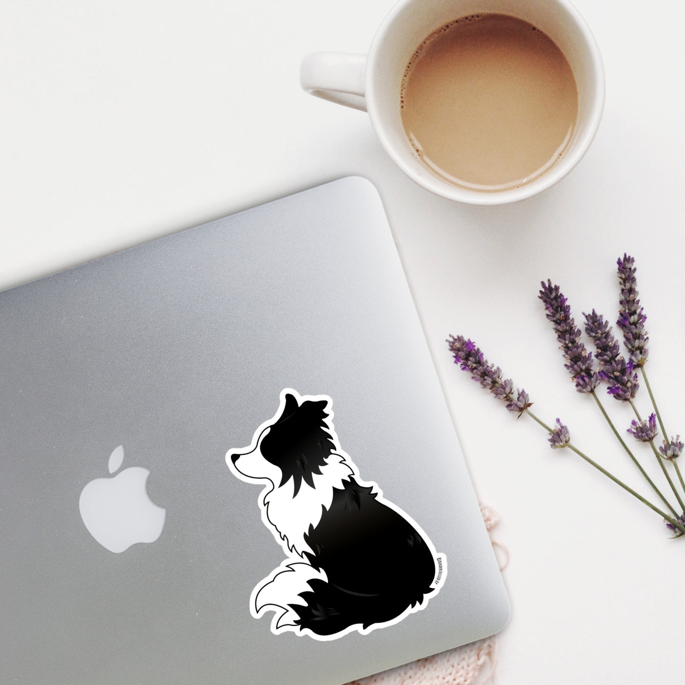 border collie sticker | Border collie gift for border collie lovers 